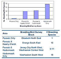Relative Waterbird Use of Lower Passaic River